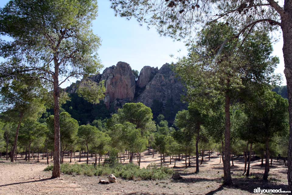 Cresta del Gallo Sierra. Panocha Peak