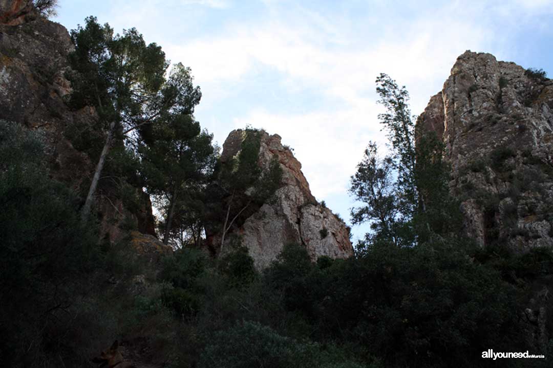 La Cresta del Gallo. Pico de la Panocha