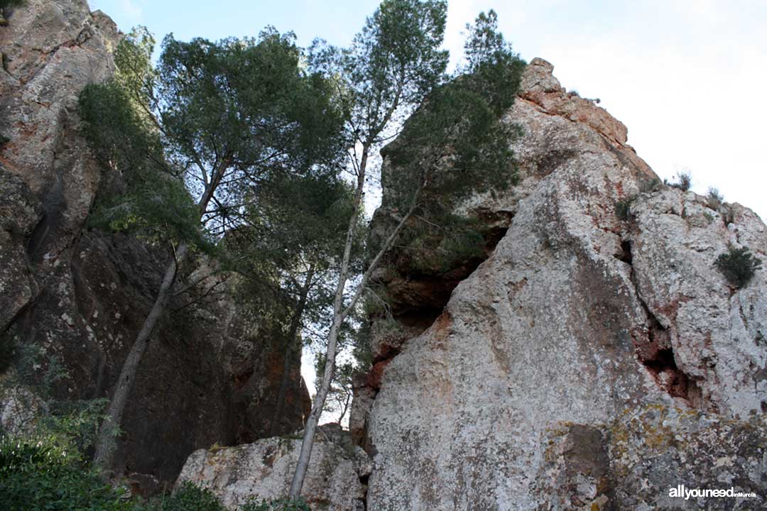 La Cresta del Gallo. Pico de la Panocha