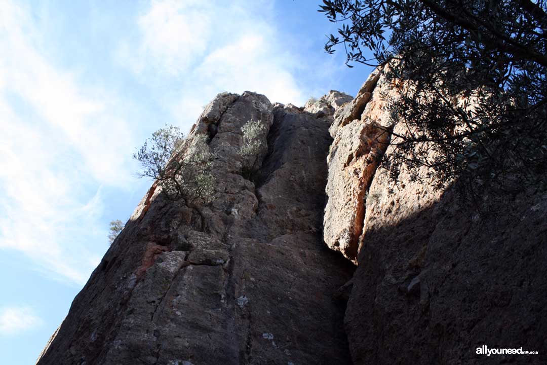 La Cresta del Gallo. Pico de la Panocha