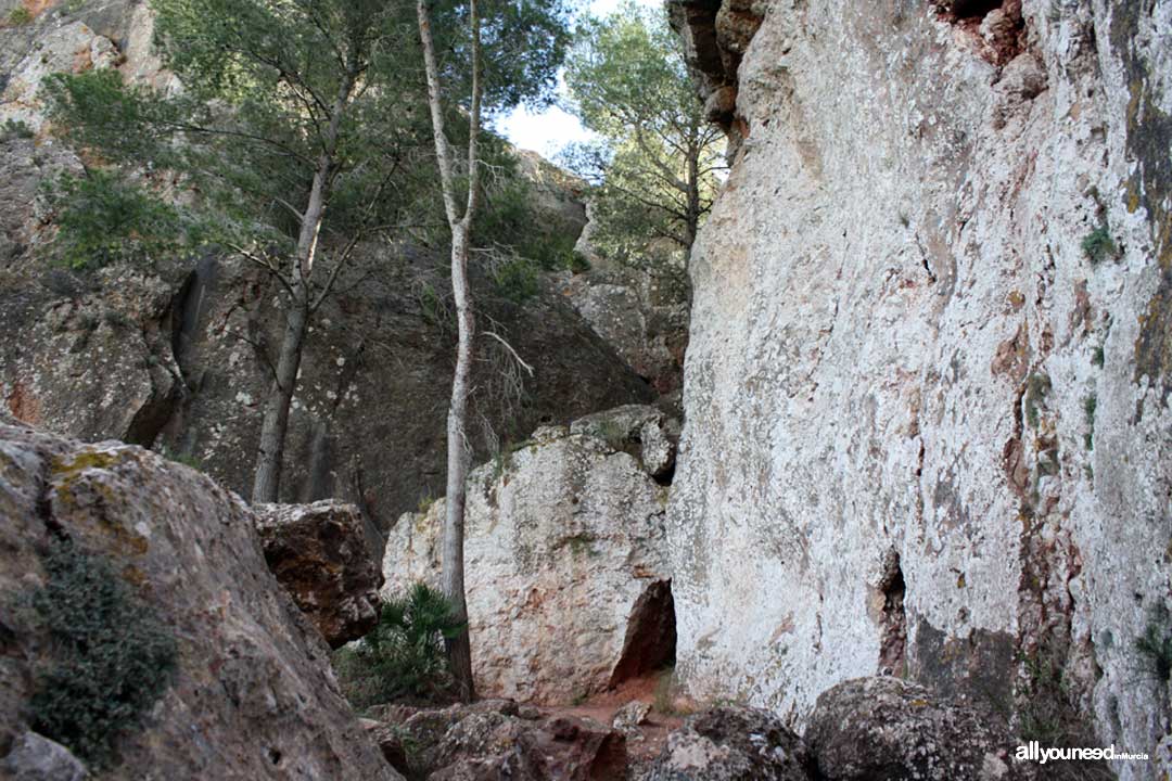 La Cresta del Gallo. Pico de la Panocha