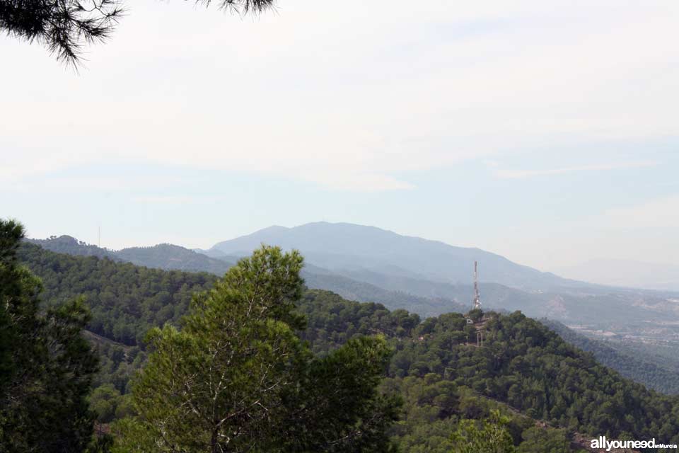 Parque Regional El Valle y Carrascoy. Al fondo Carrascoy