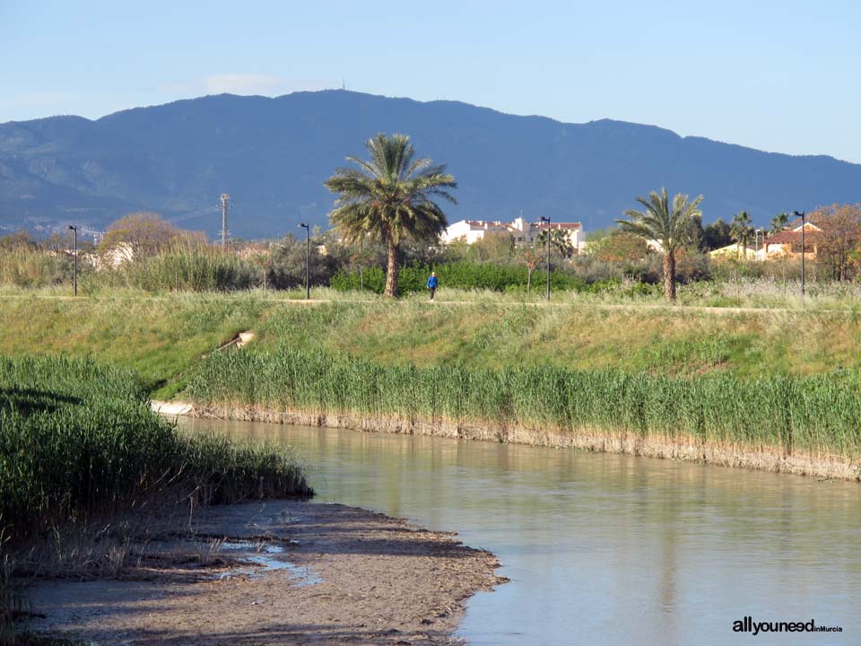 Parque Regional El Valle y Carrascoy. Río Segura y Carrascoy al fondo