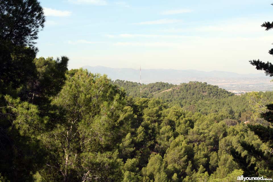 Parque Regional El Valle y Carrascoy