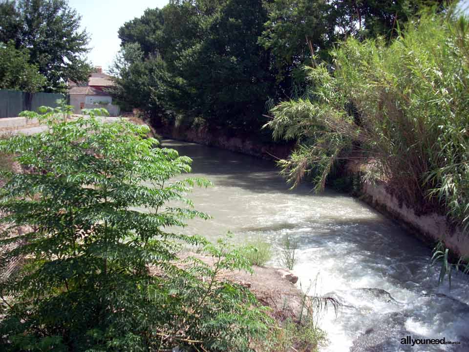 Acequia de La Ajufía