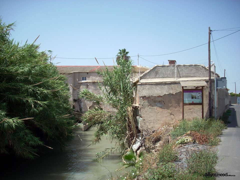 Acequia de La Ajufía