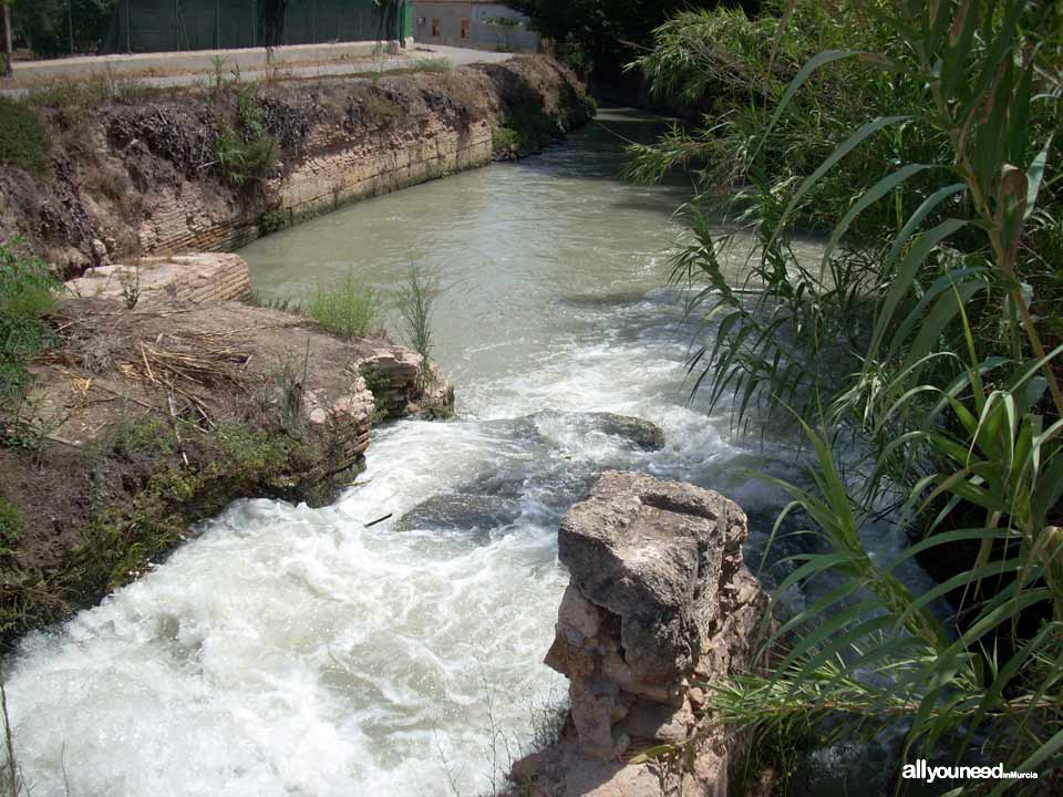 Acequia de La Ajufía