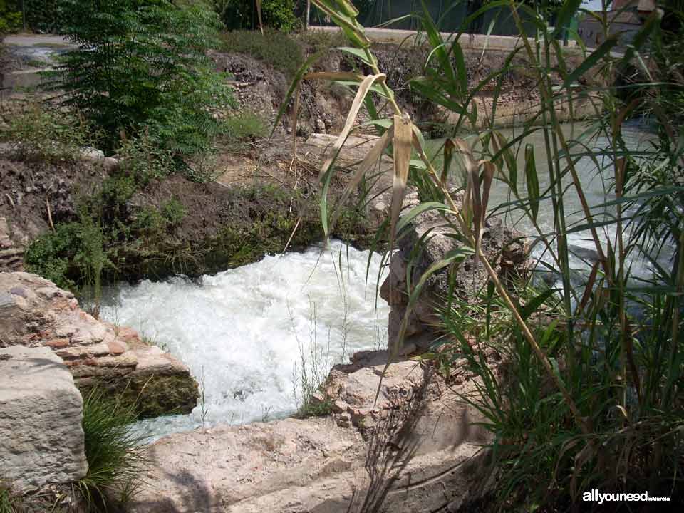 Acequia de La Ajufía