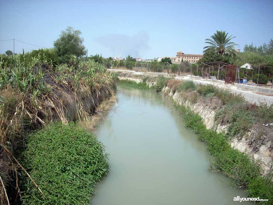 Acequia de La Ajufía