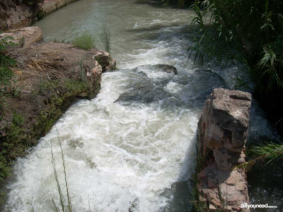 Acequia de La Ajufía