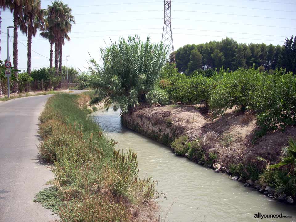 Acequia de La Ajufía