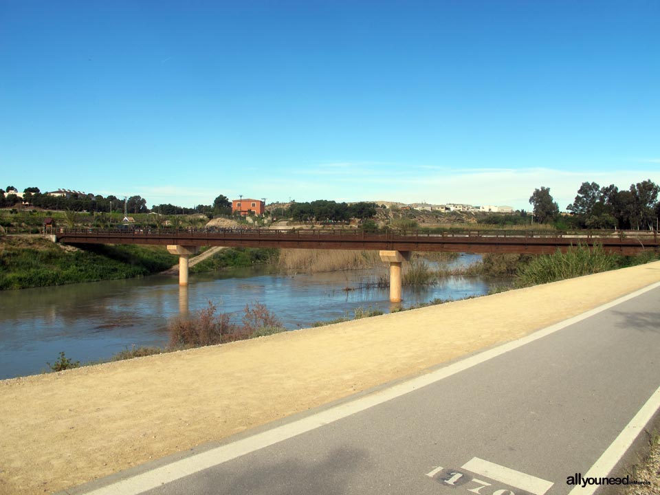 Río Segura por el municipio de Murcia