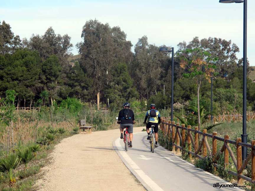 Cicloturismo a orillas del Segura