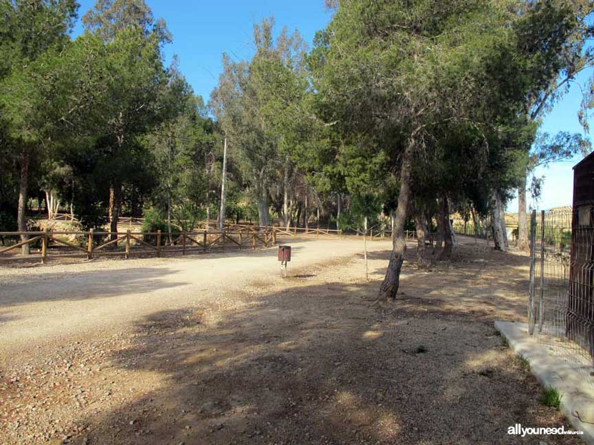 Río Segura por el municipio de Murcia. Contraparada