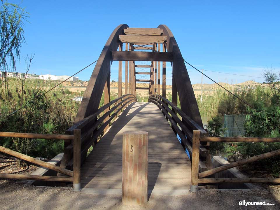 Río Segura por el municipio de Murcia. Contraparada