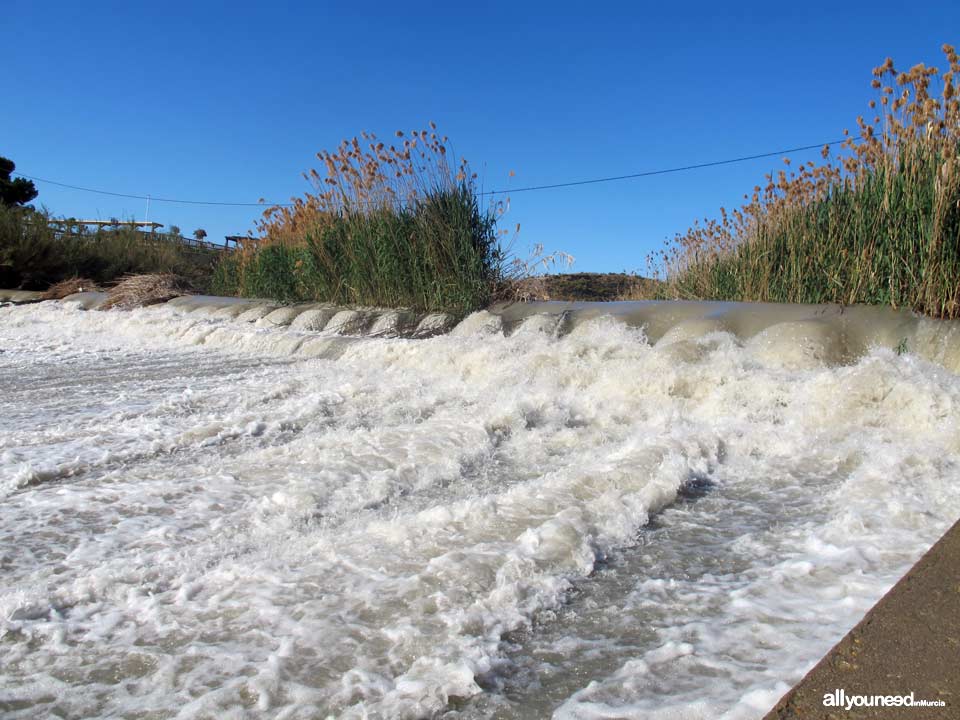 Río Segura por el municipio de Murcia. Contraparada