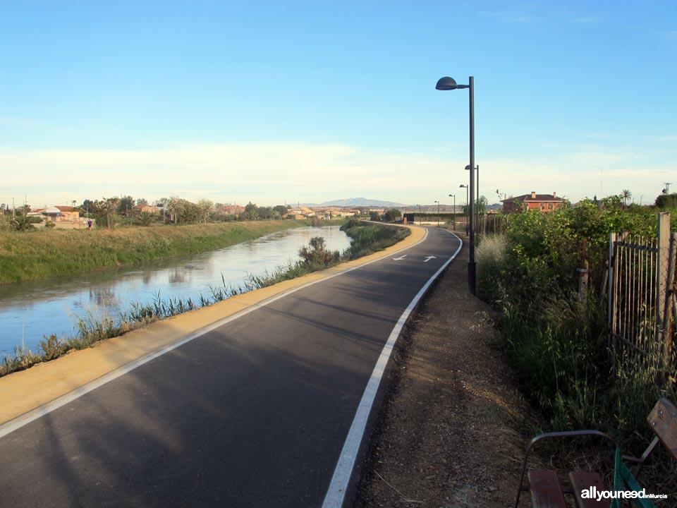 Río Segura por el municipio de Murcia