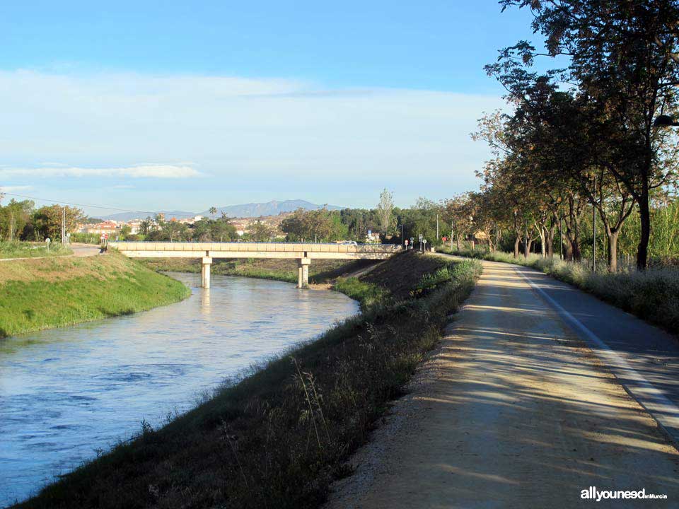 Río Segura por el municipio de Murcia