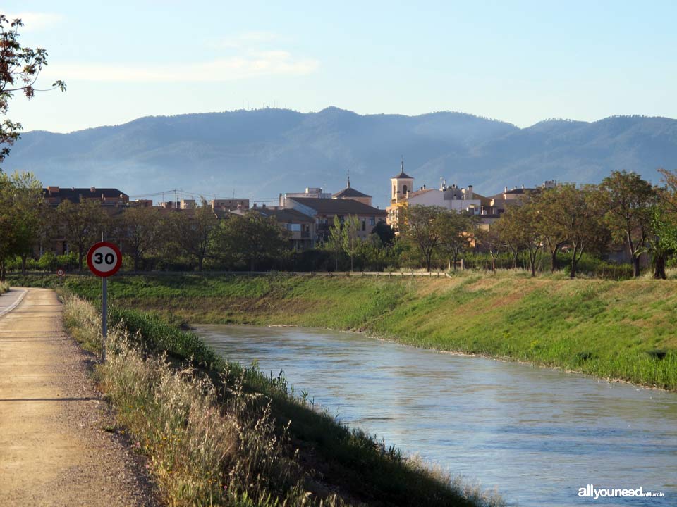 Río Segura por el municipio de Murcia