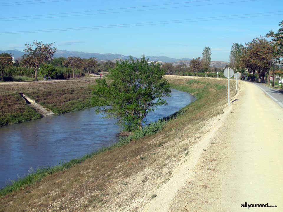 Río Segura por el municipio de Murcia