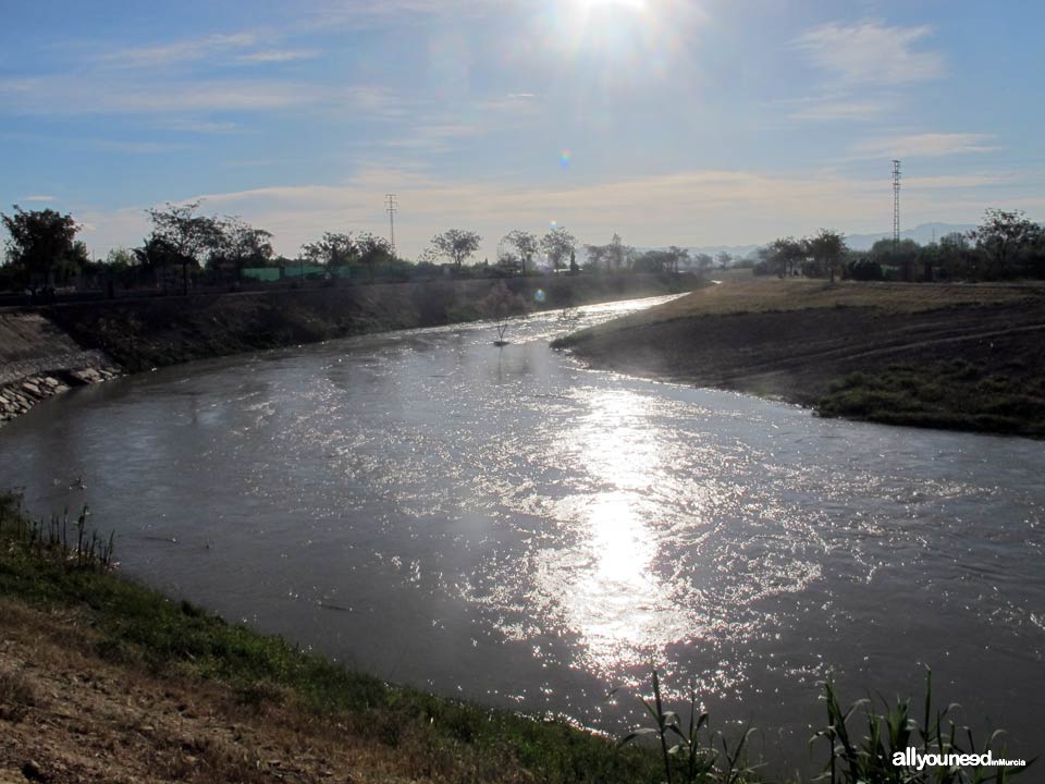 Río Segura por el municipio de Murcia