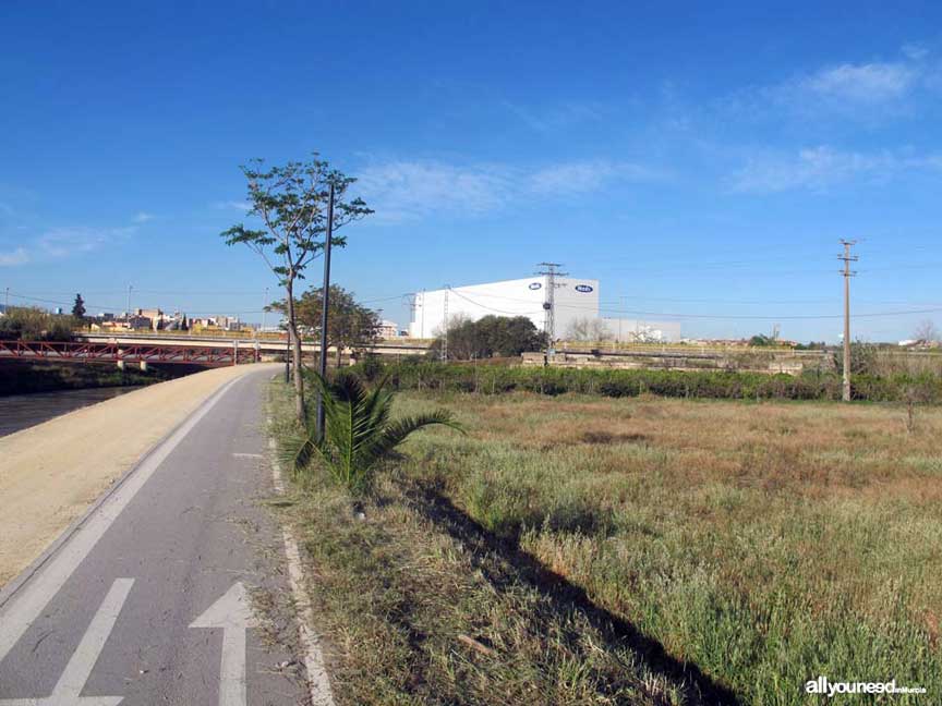 Río Segura por el municipio de Murcia