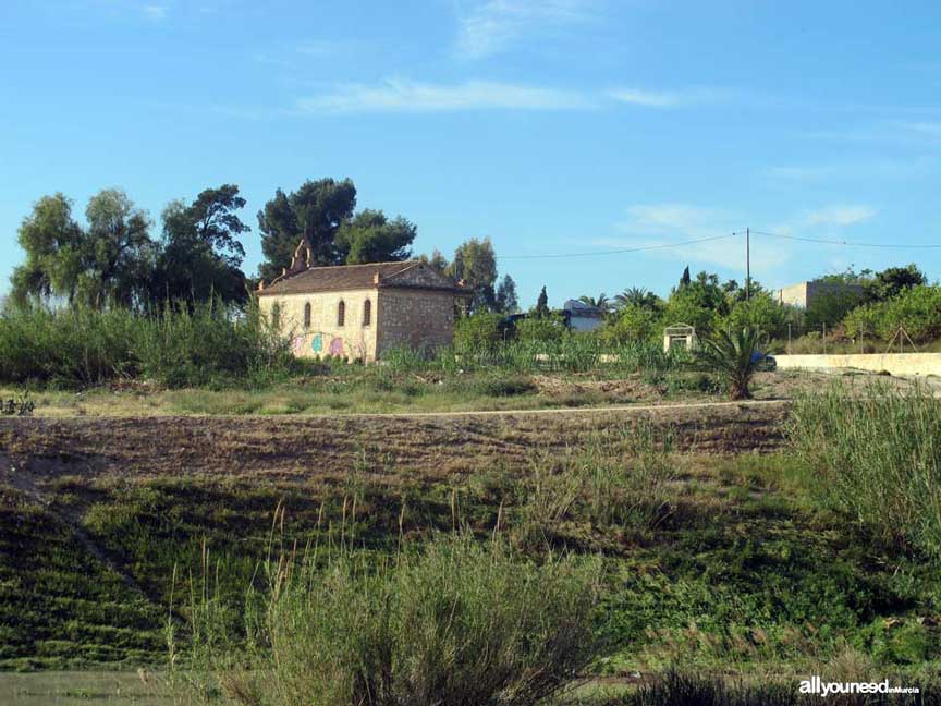 Río Segura por el municipio de Murcia