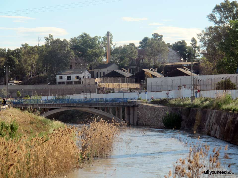 Río Segura por el municipio de Murcia