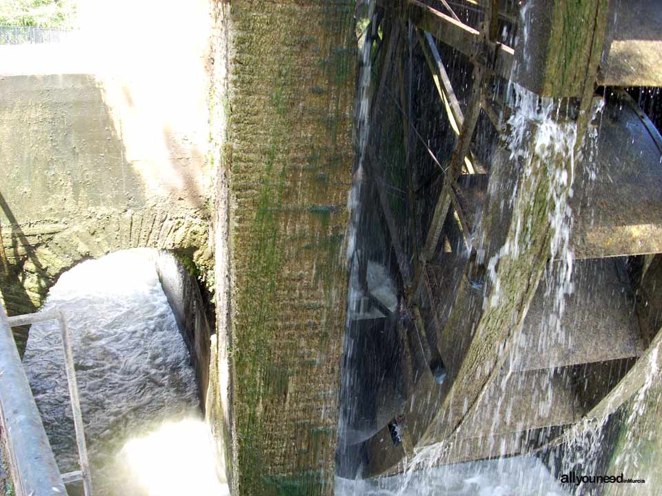 Ñora Waterwheel in Murcia. Spain