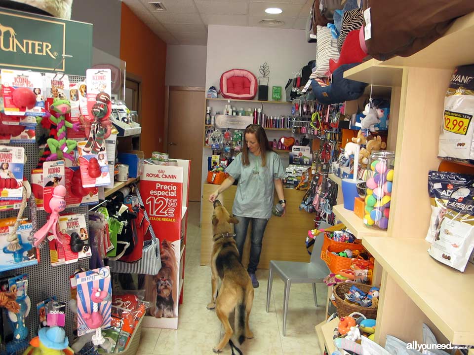 Cachito Guau. Peluquería Canina. Peluquería canina en Murcia