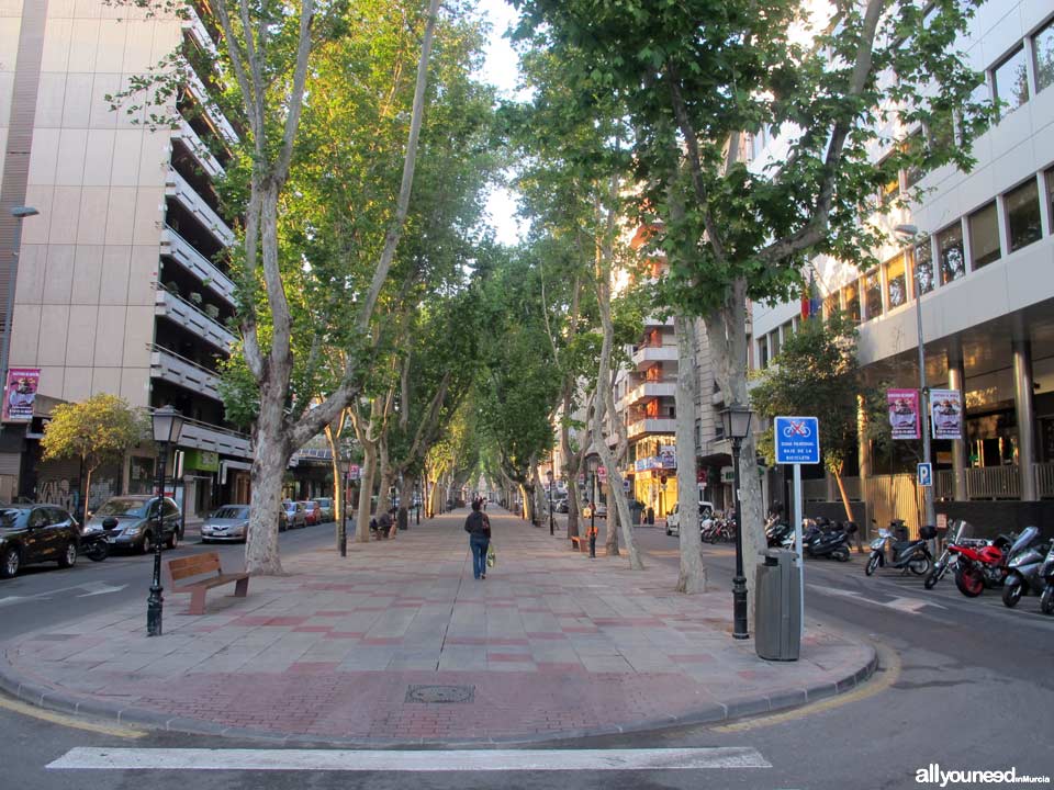 Streets in Murcia. Paseo de Alfonso X el Sabio