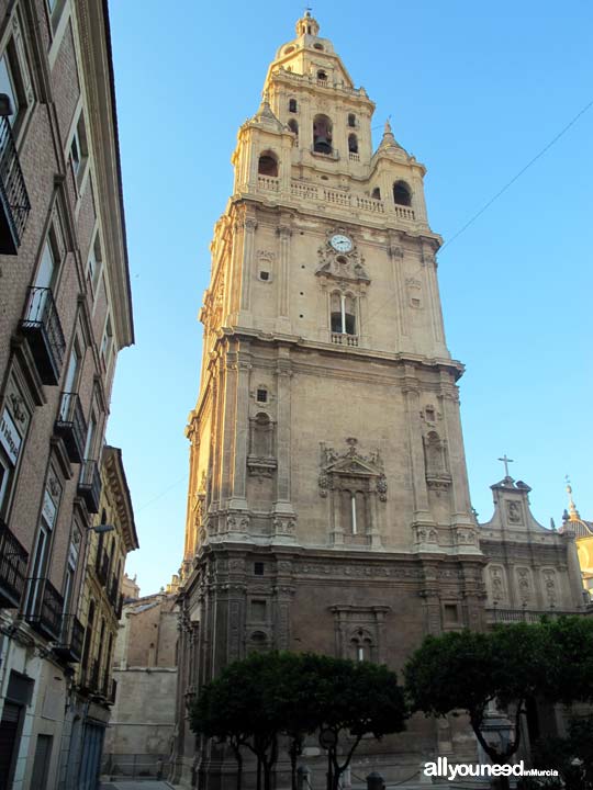 Catedral de Santa María. Catedral de Murcia