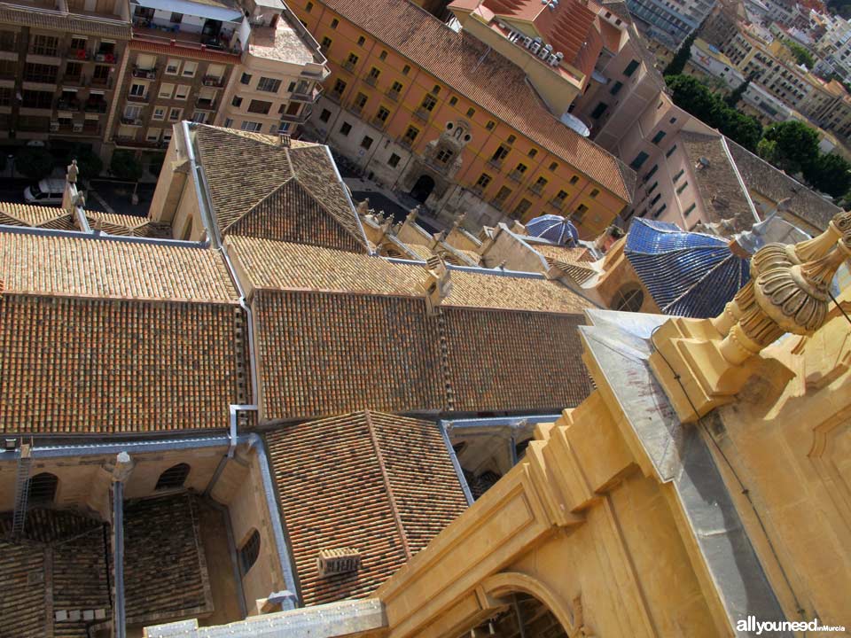 Views from the Murcia Cathedral Tower