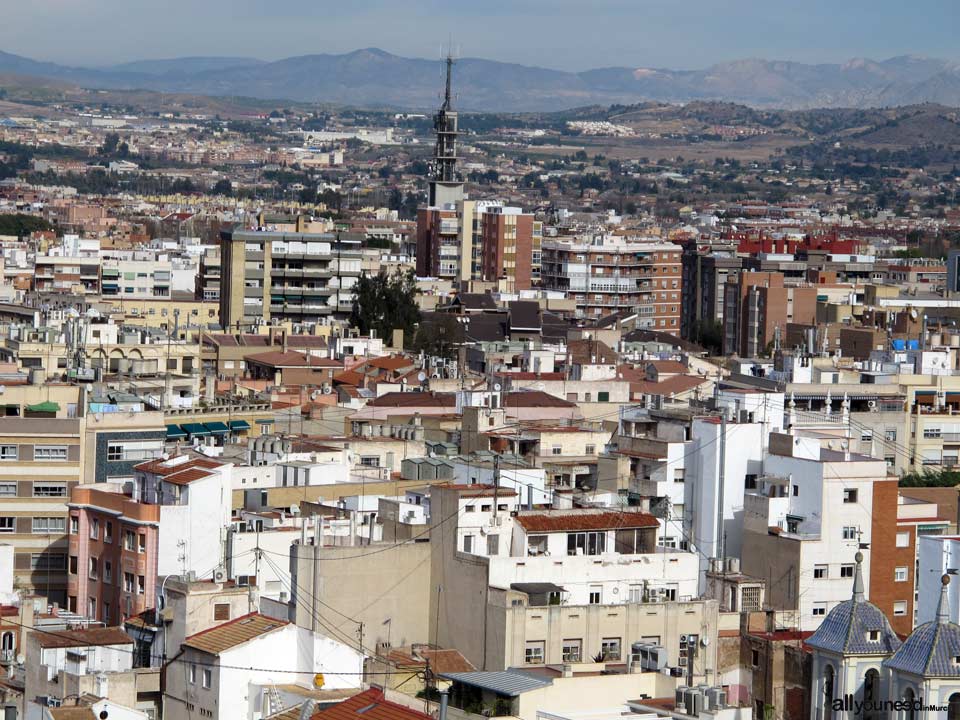 Vistas desde la Torre de la Catedral