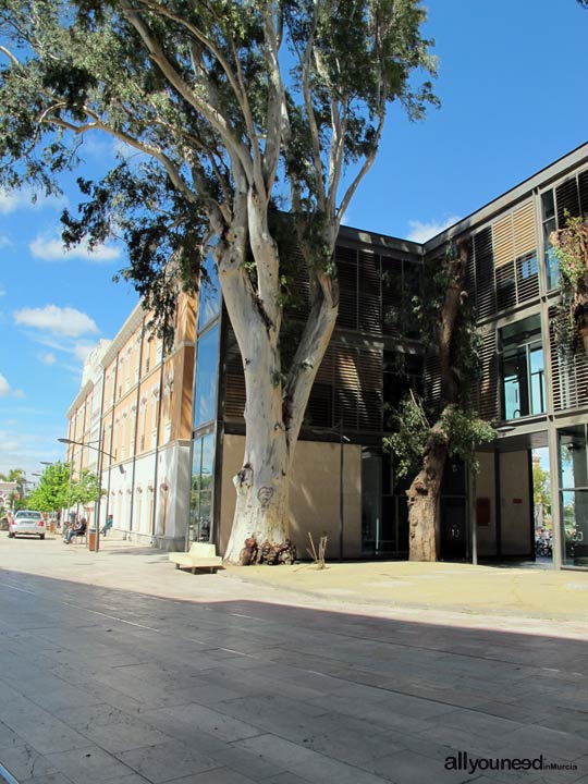 Cuartel de Artillería Garden