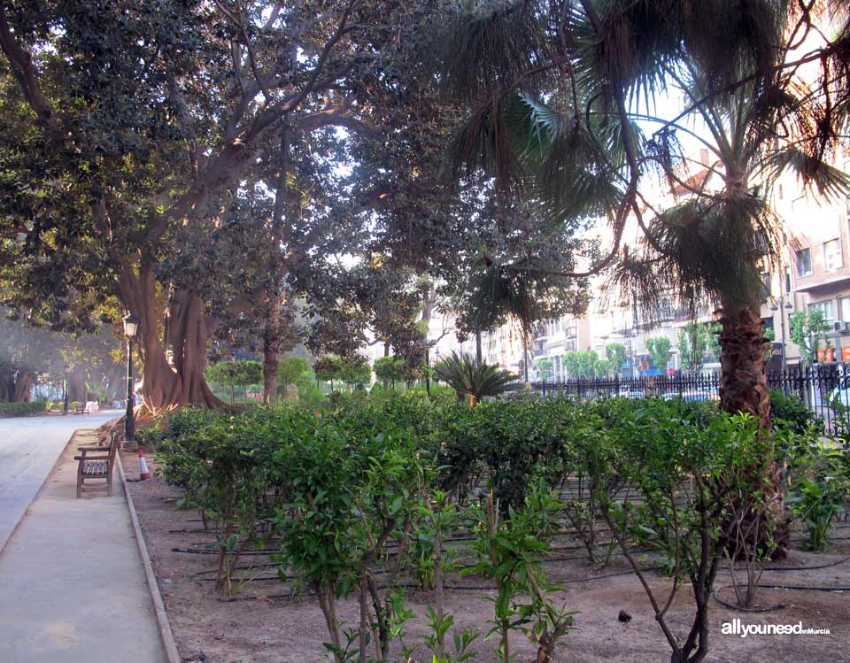 Jardín de Floridablanca en Murcia