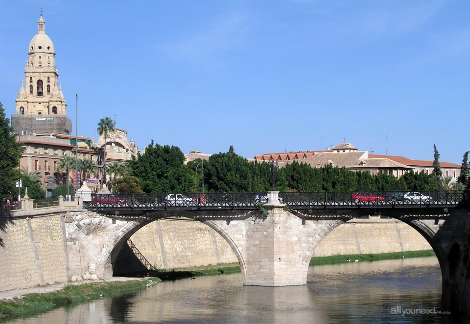 Río Segura, Puente de los Peligros y Catedral de Murcia