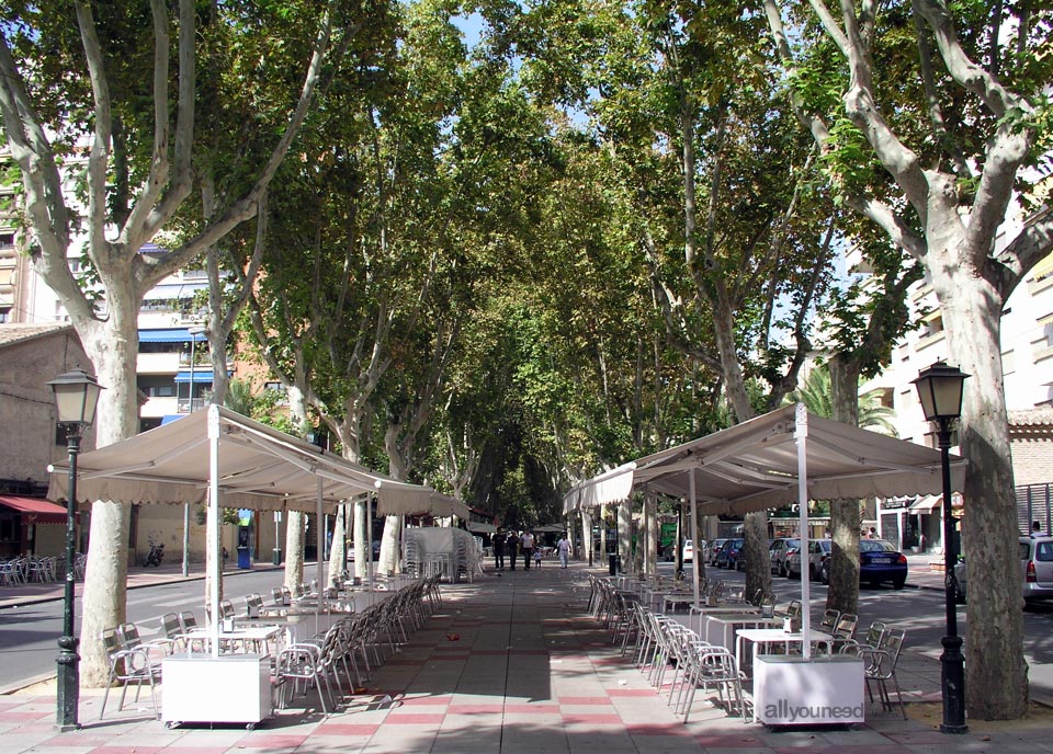 Paseo de Alfonso X in Murcia