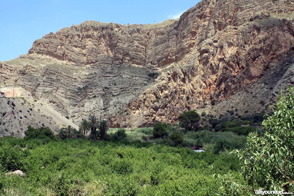 El Solvente en Ojós. Valle de Ricote