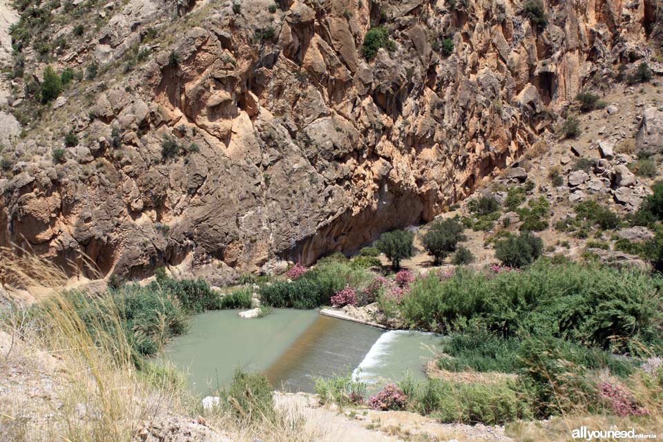 El Solvente en Ojós. Valle de Ricote