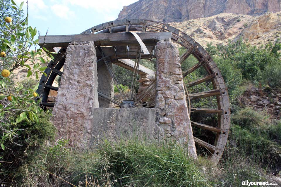 Ribera Waterwheel in Ojós. Spain