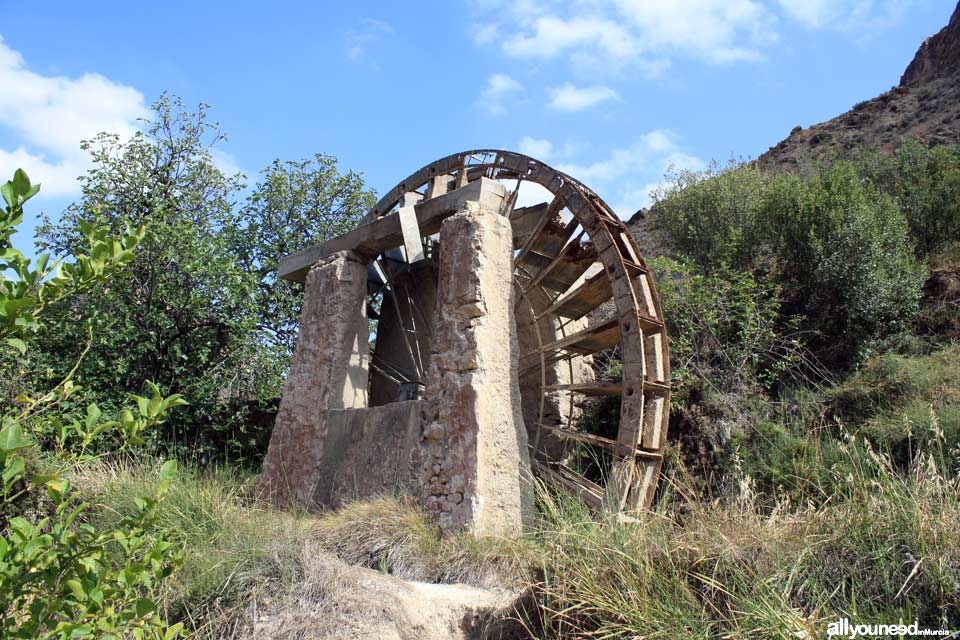 Ribera Waterwheel in Ojós. Spain