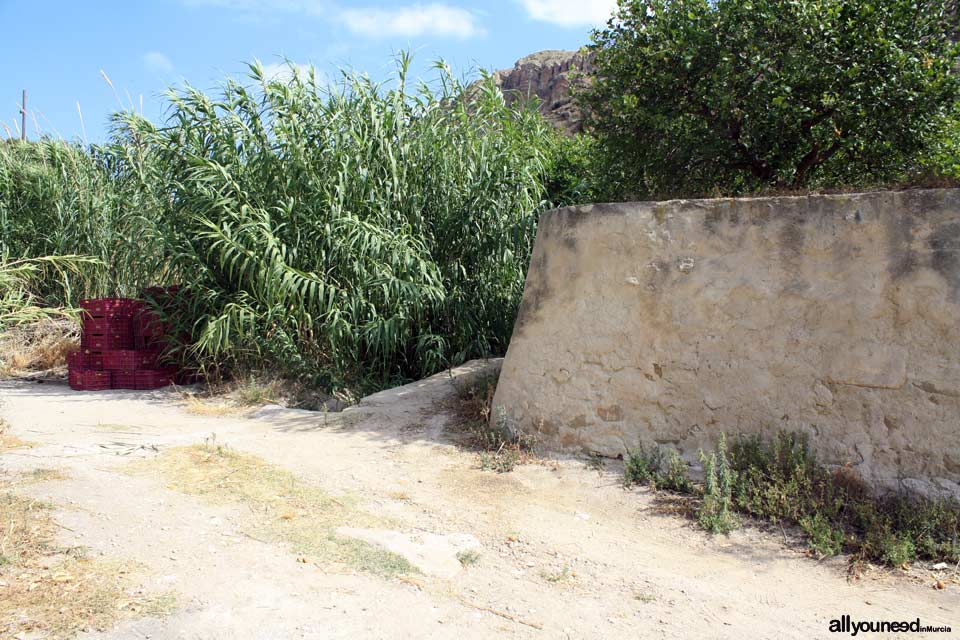 Ribera Waterwheel in Ojós. Spain