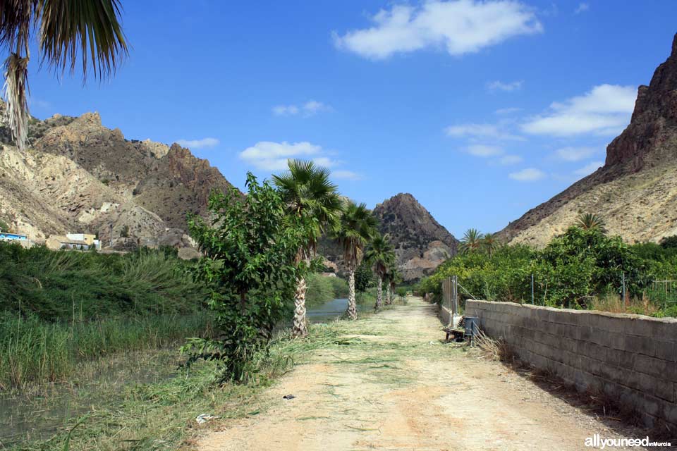 Noria de la Ribera en Ojós