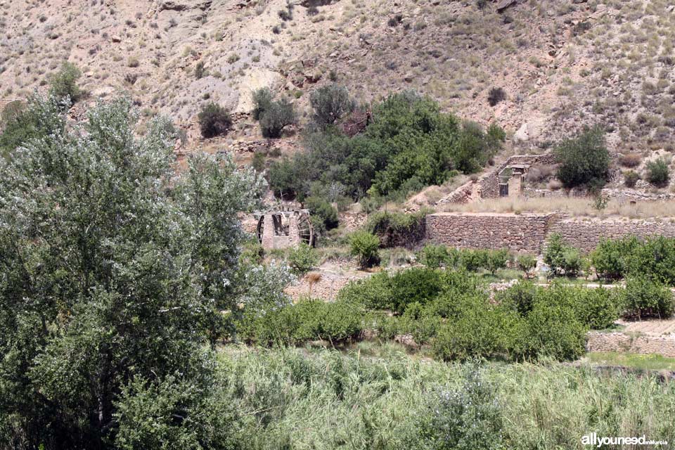 Ribera Waterwheel in Ojós. Spain