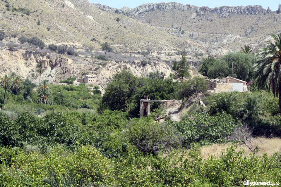 Olivar Waterwheel in Ojós. Spain