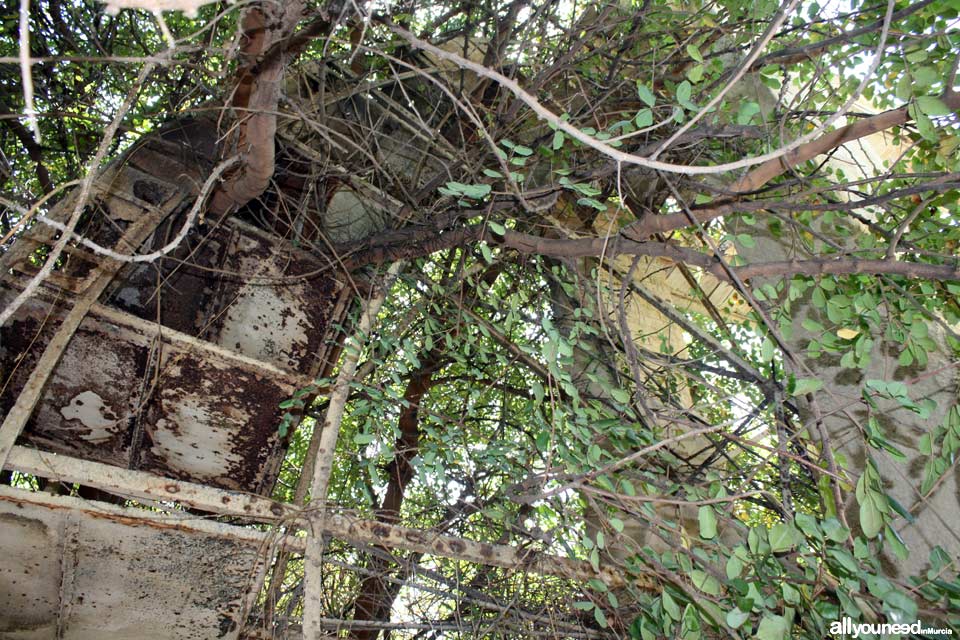 Olivar Waterwheel in Ojós. Spain