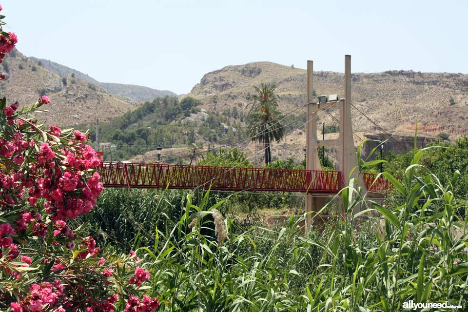 Suspension Bridge in Ojós