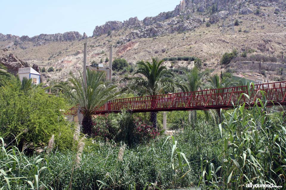 Puente Colgante de Ojós