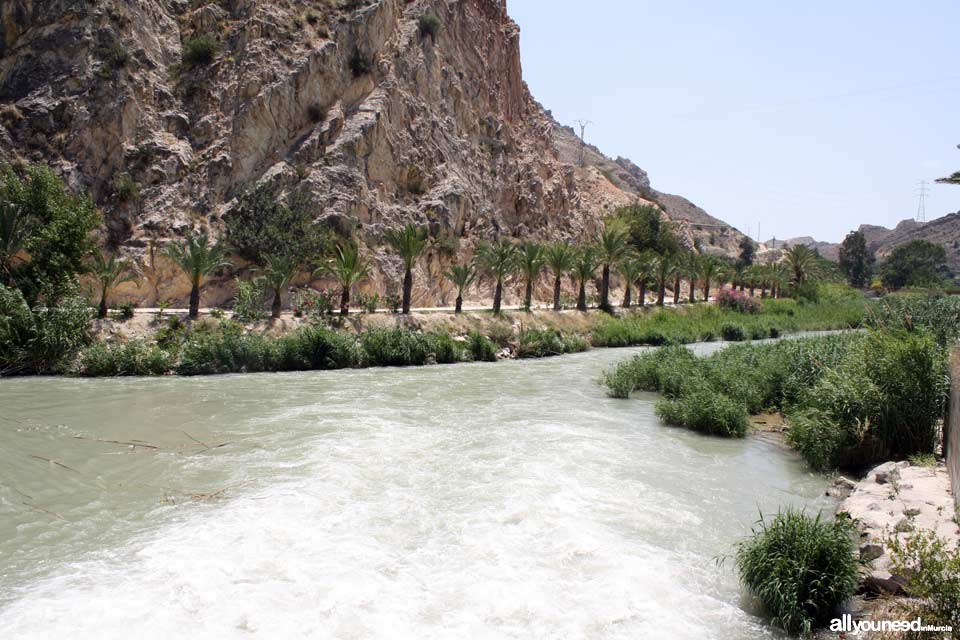 Segura River in Ojós